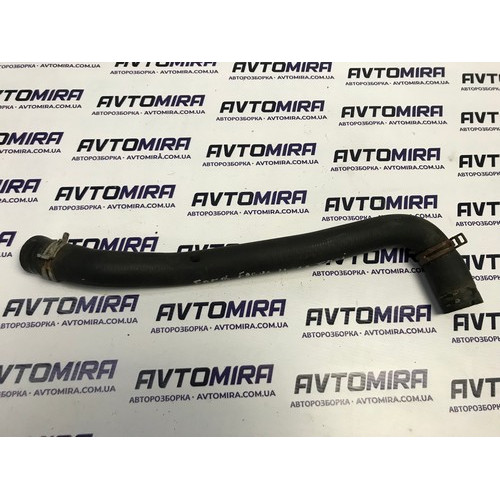 Патрубок радіатора верхній Ford Focus 2 1.8 TDCI 2005-2010 3M5H8260MD